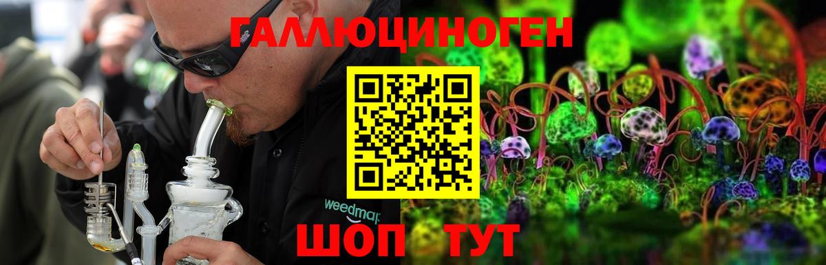 Костомукша  Галлюциногенные грибы Psilocybine cubensis  Вход с VPN  Псилоцибиновые грибы Psilocybine cubensis 